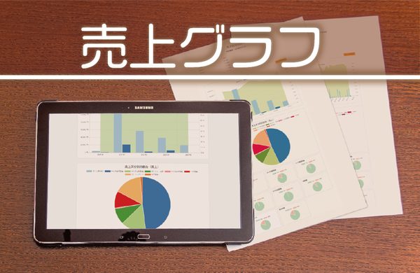 整備システムの売上グラフ表示